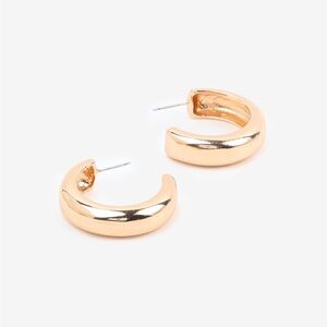 Elegant Gold Hoop Earrings